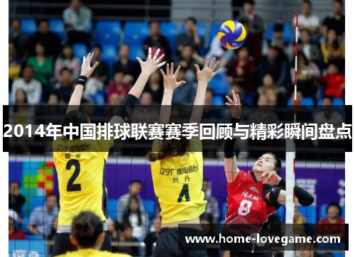 2014年中国排球联赛赛季回顾与精彩瞬间盘点