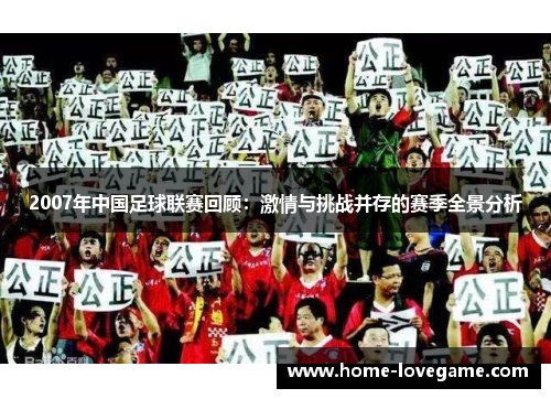 2007年中国足球联赛回顾：激情与挑战并存的赛季全景分析