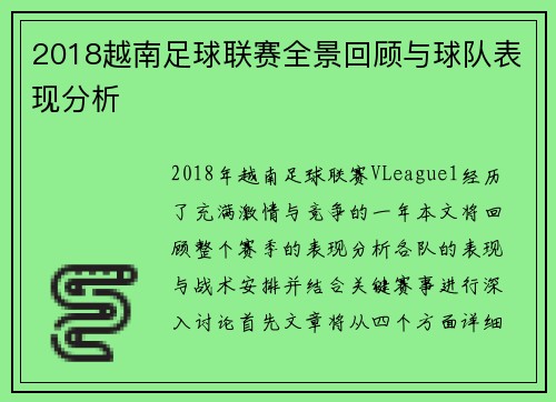 2018越南足球联赛全景回顾与球队表现分析
